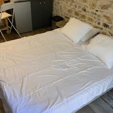 Studio With Exposed Stone Vieux Lyon Лион Экстерьер фото
