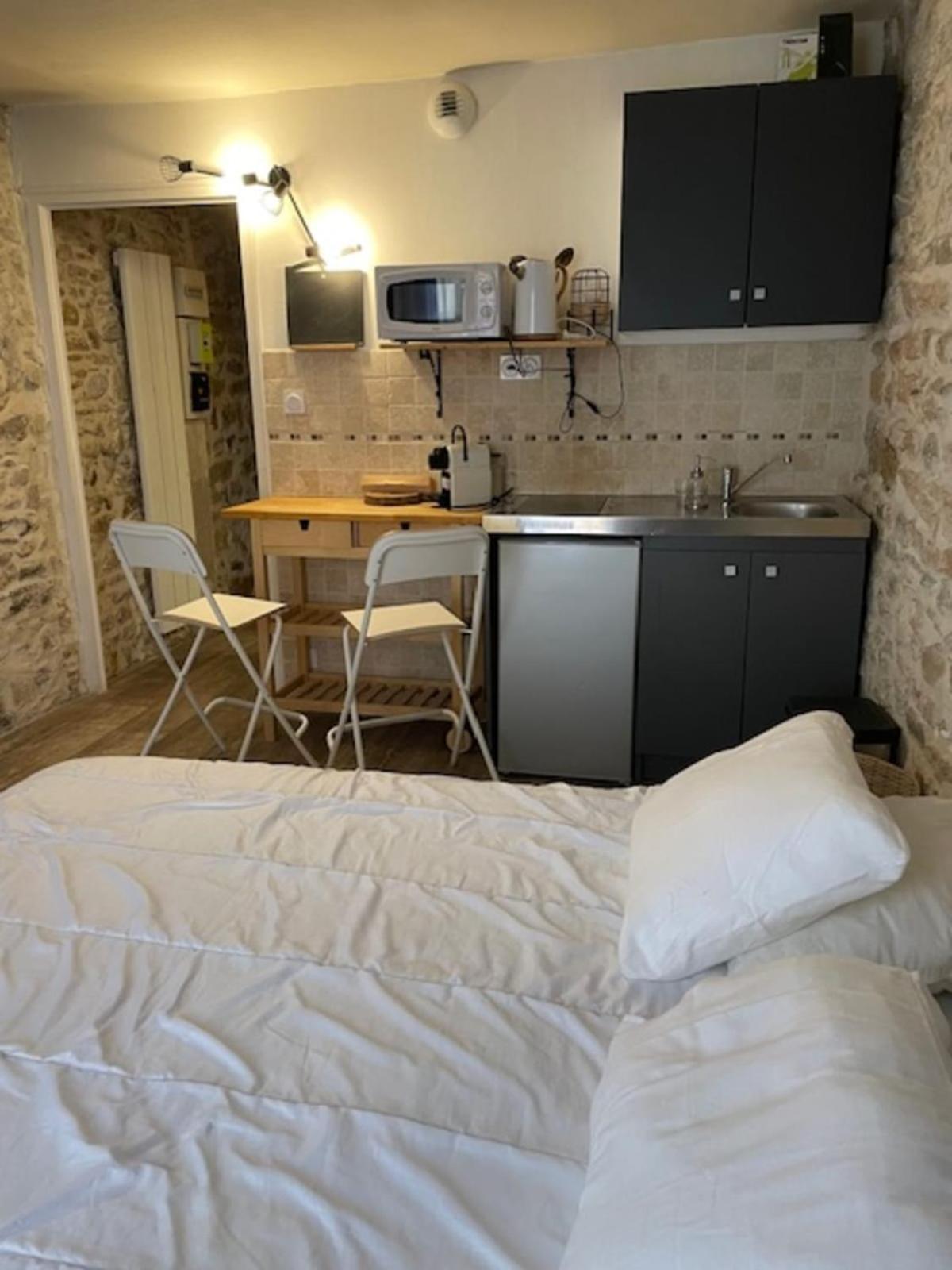 Studio With Exposed Stone Vieux Lyon Лион Экстерьер фото