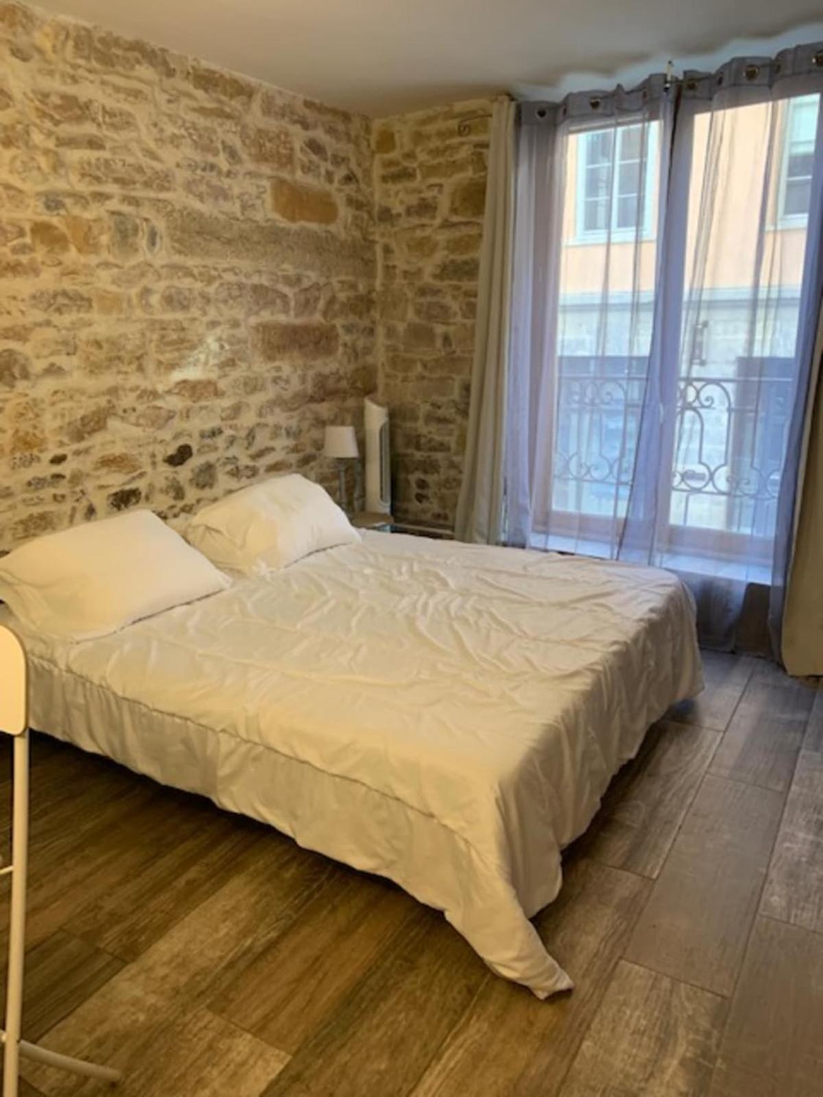 Studio With Exposed Stone Vieux Lyon Лион Экстерьер фото