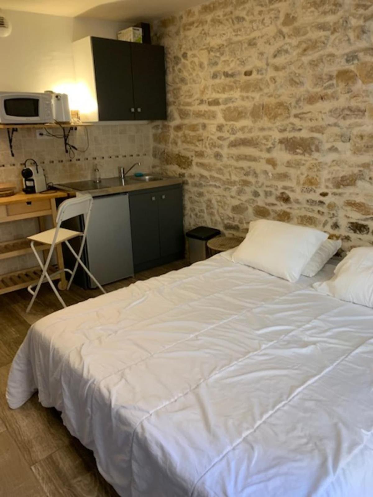 Studio With Exposed Stone Vieux Lyon Лион Экстерьер фото