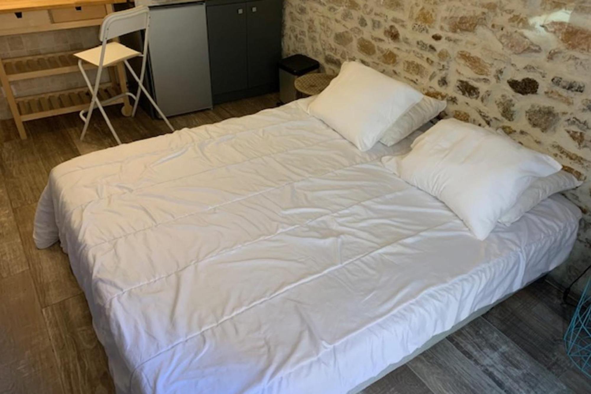 Studio With Exposed Stone Vieux Lyon Лион Экстерьер фото